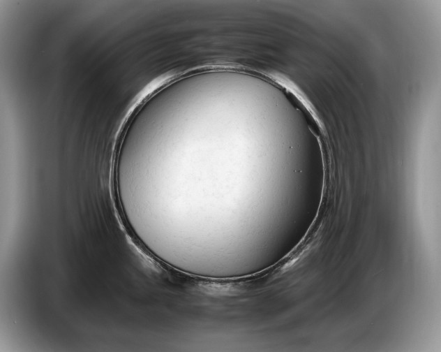 X0000086721245200704271604