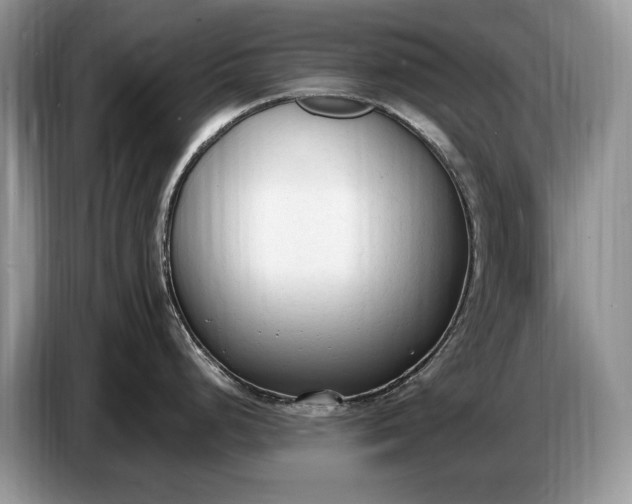 X0000086721248200704271604