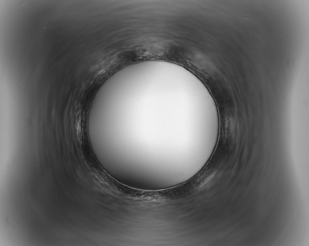 X0000086721250200704271604