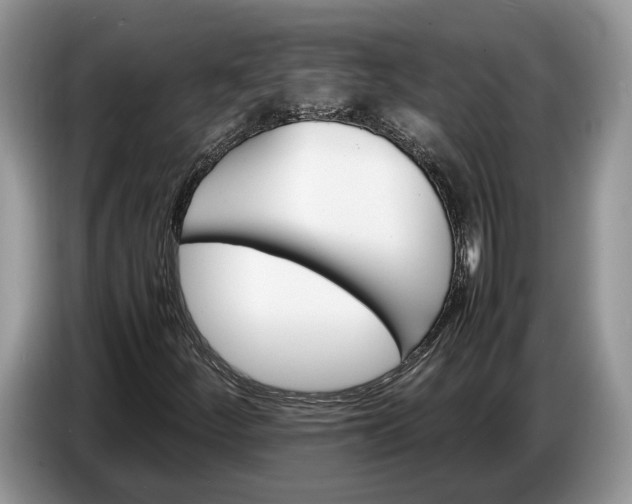 X0000086721252200704271604