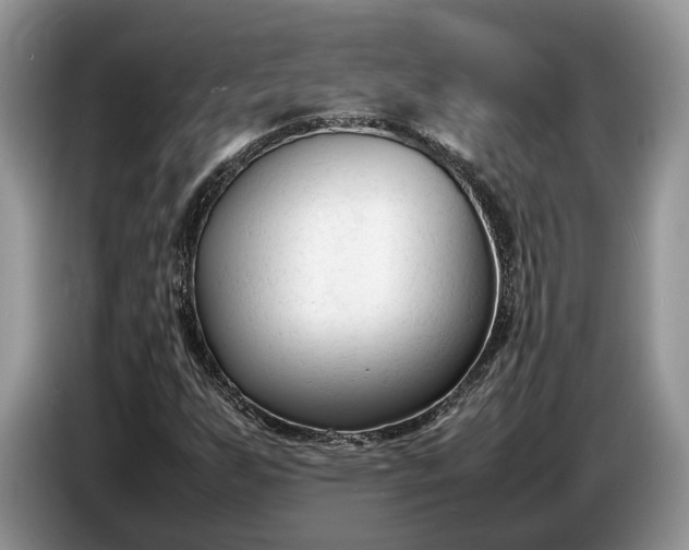 X0000086721255200704271603