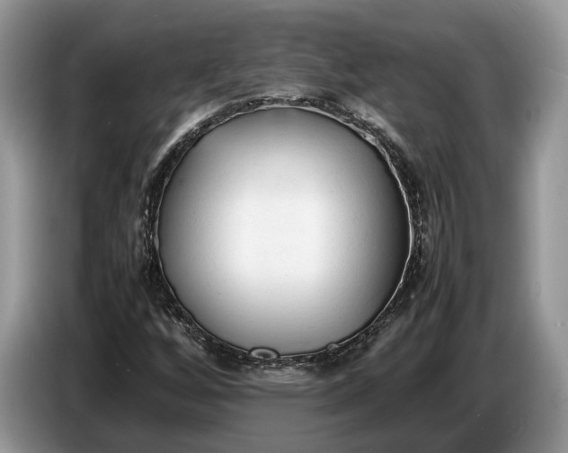 X0000086721256200704271603