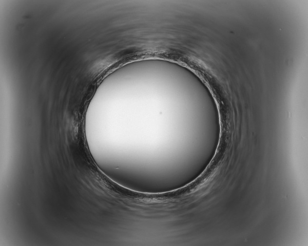 X0000086721257200704271603