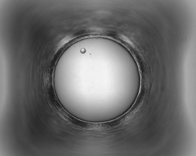 X0000086721259200704271603