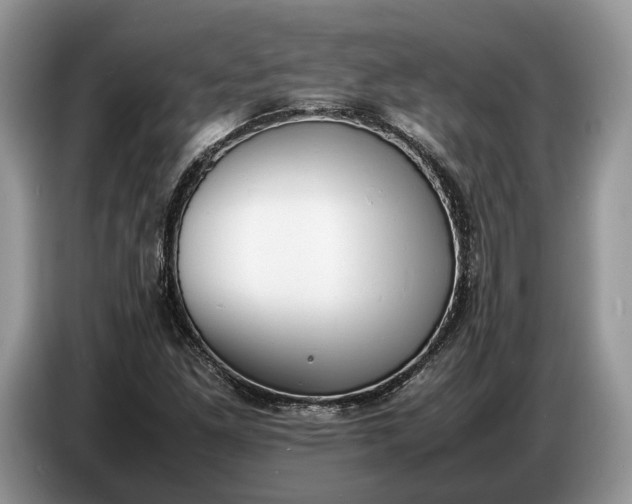 X0000086721261200704271603