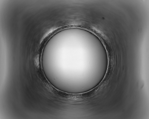 X0000086721262200704271603