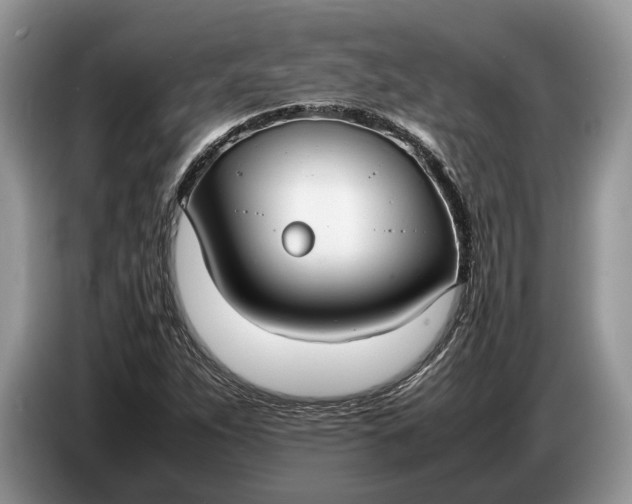 X0000086721263200704271603