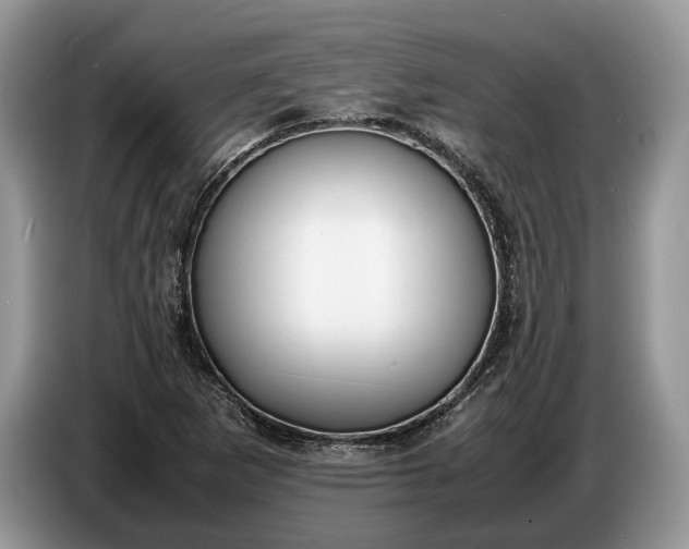 X0000086721265200704271603