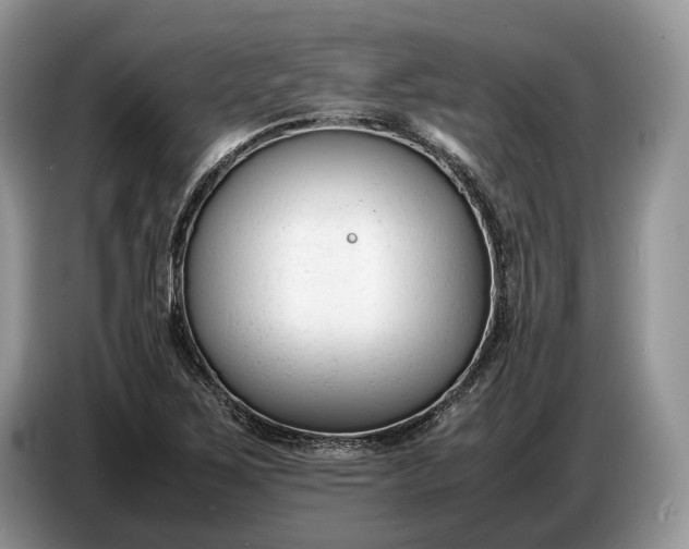 X0000086721267200704271603