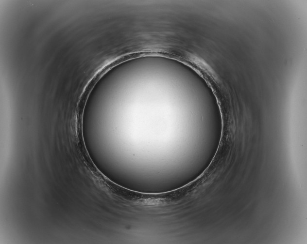 X0000086721268200704271603
