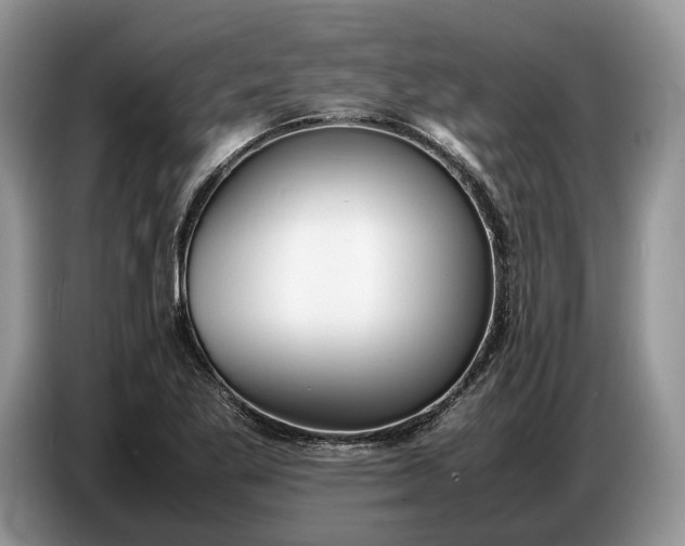 X0000086721269200704271603