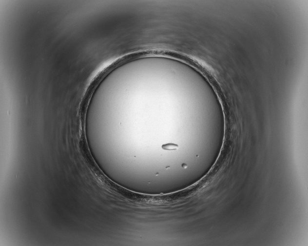 X0000086721271200704271603