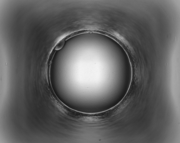 X0000086721272200704271603