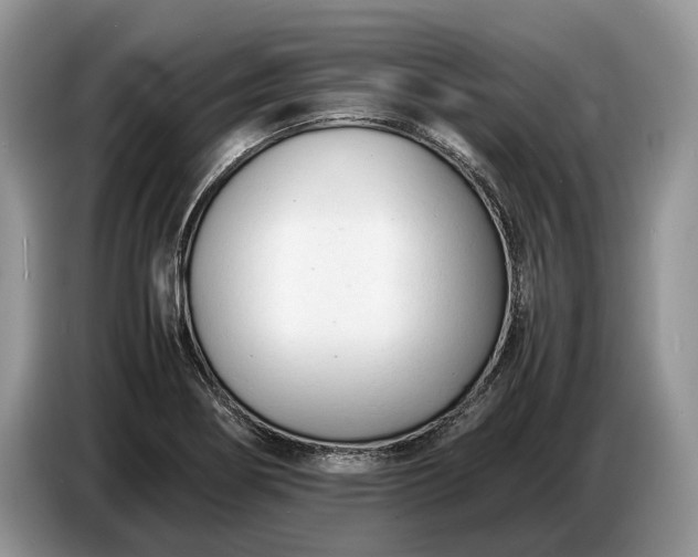 X0000086721274200704271603