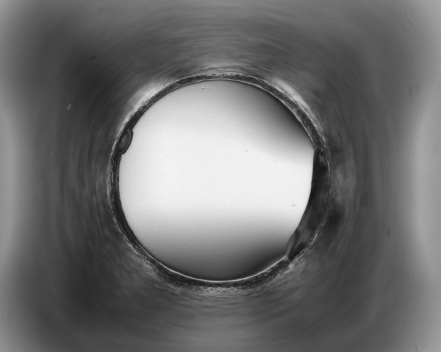 X0000086721277200704271603