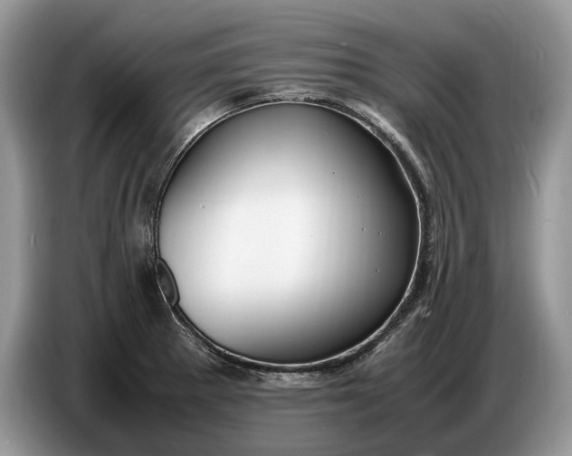 X0000086721281200704271603
