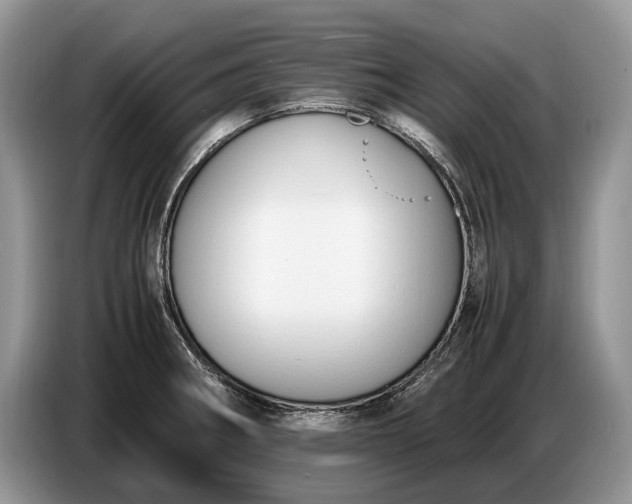 X0000086721282200704271603