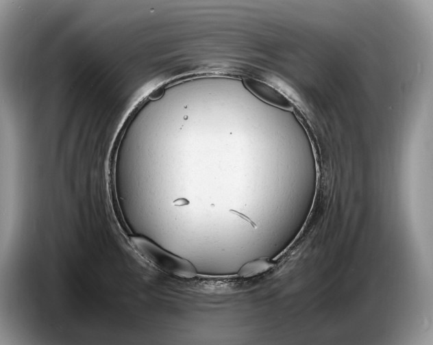 X0000086721283200704271603