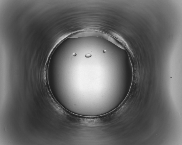 X0000086721284200704271603