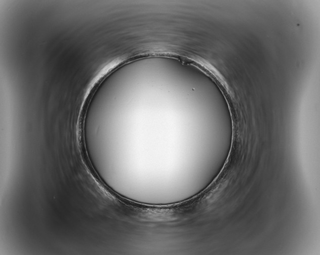 X0000086721285200704271603