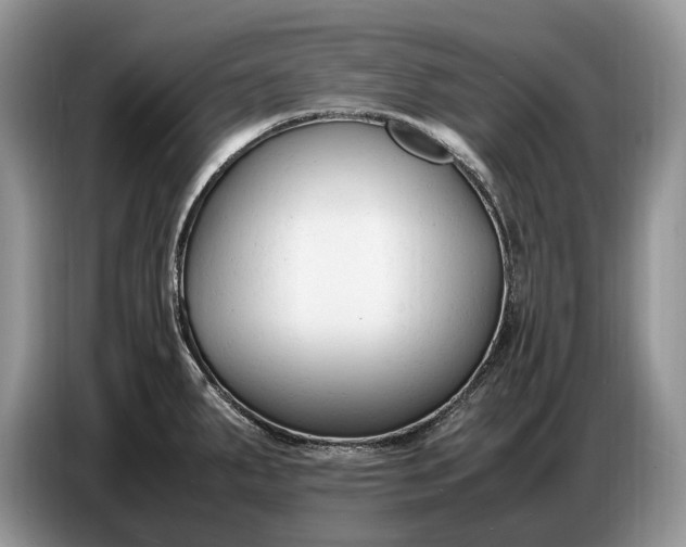 X0000086721287200704271603