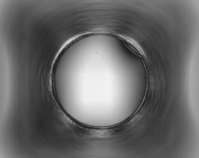X0000086721288200704271603