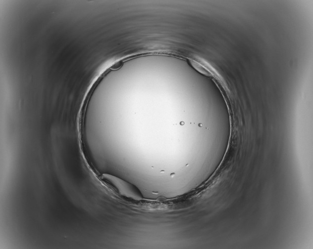 X0000086721291200704271603