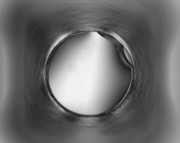 X0000086721293200704271603