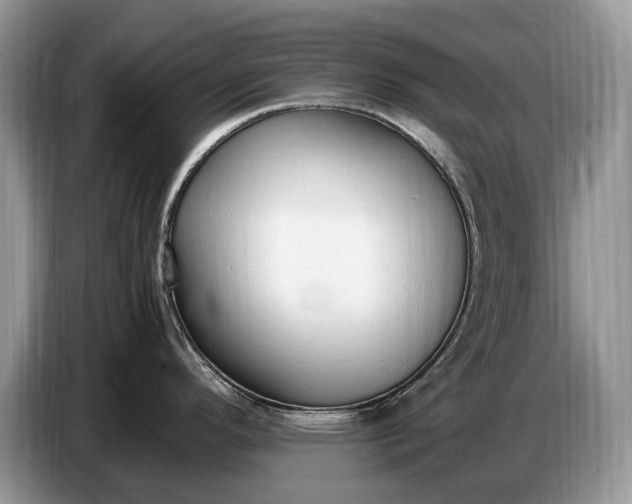 X0000086721296200704271603