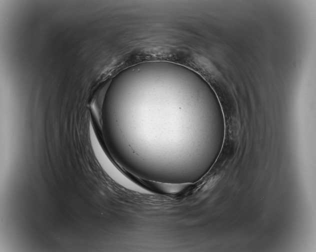 X0000086721298200704271602