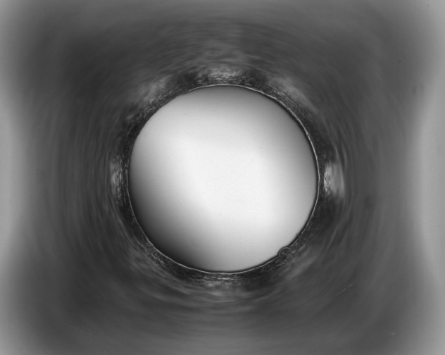 X0000086721299200704271602