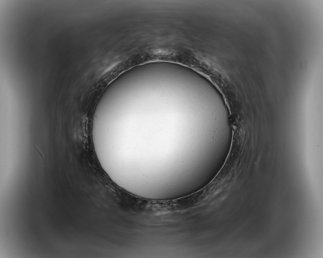X0000086721301200704271602