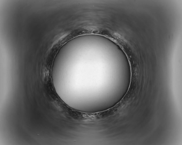 X0000086721302200704271602