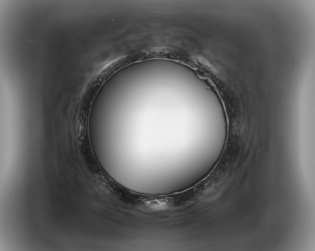 X0000086721303200704271602