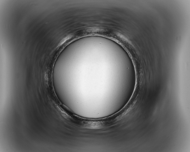 X0000086721305200704271602