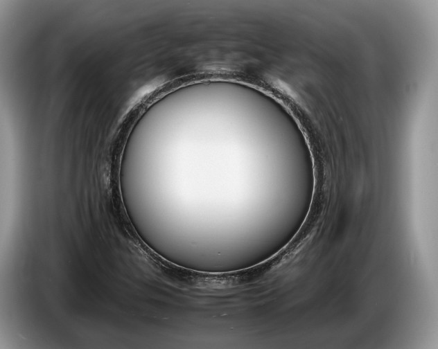 X0000086721307200704271602