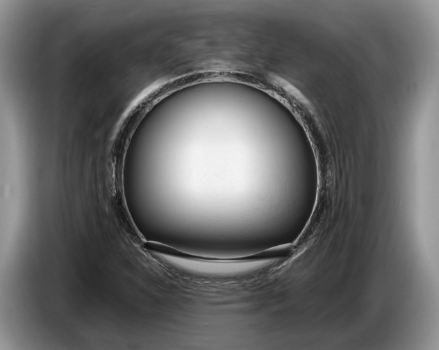 X0000086721310200704271603