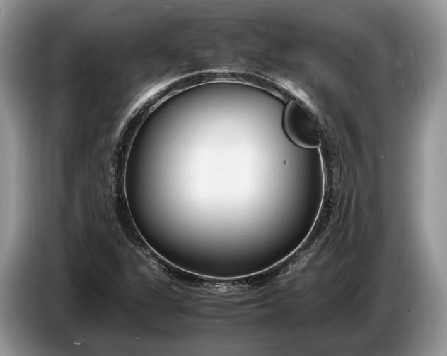X0000086721311200704271603