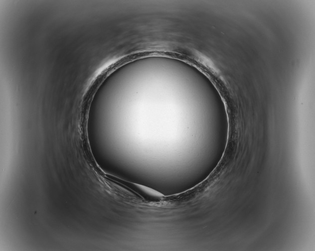 X0000086721312200704271603