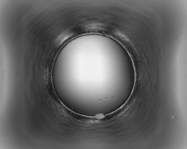 X0000086721313200704271603