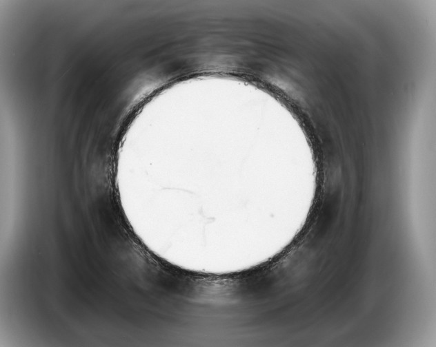 X0000086721314200704271603