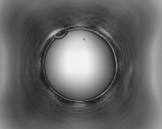 X0000086721315200704271603