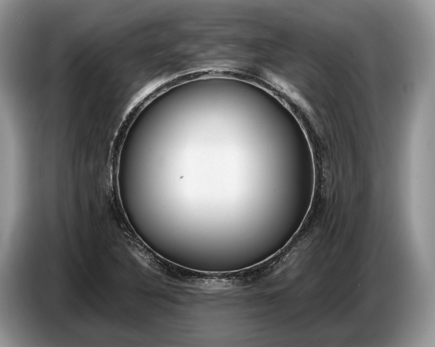 X0000086721316200704271603