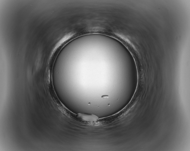 X0000086721317200704271603