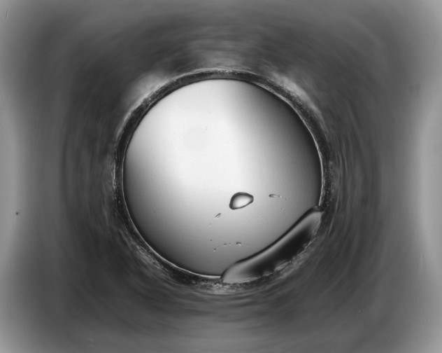 X0000086721318200704271603