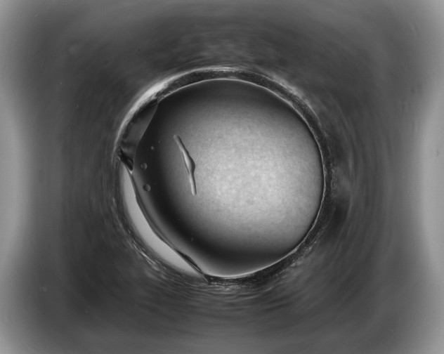 X0000086721319200704271603