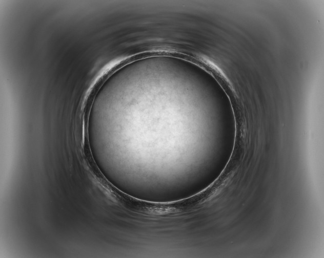 X0000086721323200704271603