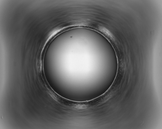 X0000086721324200704271603