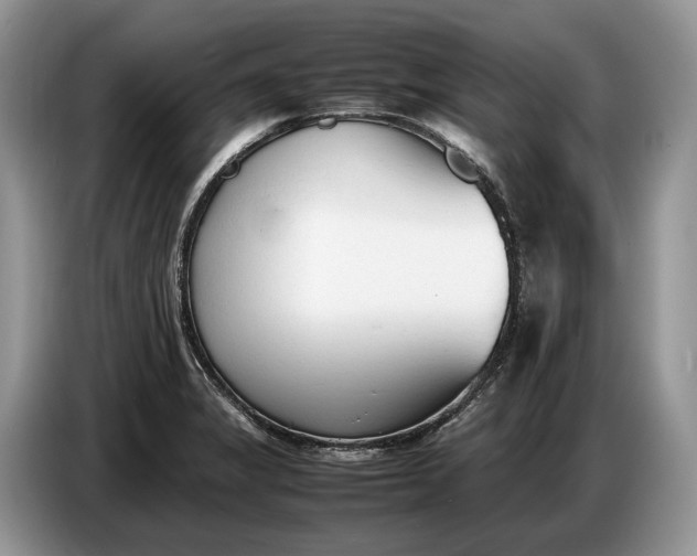 X0000086721325200704271603