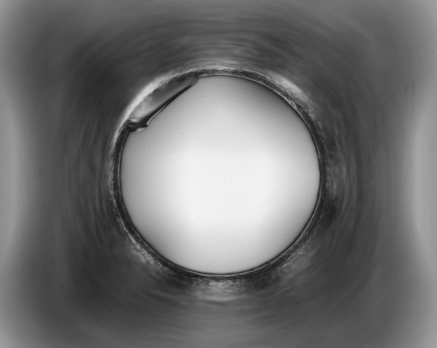 X0000086721326200704271603
